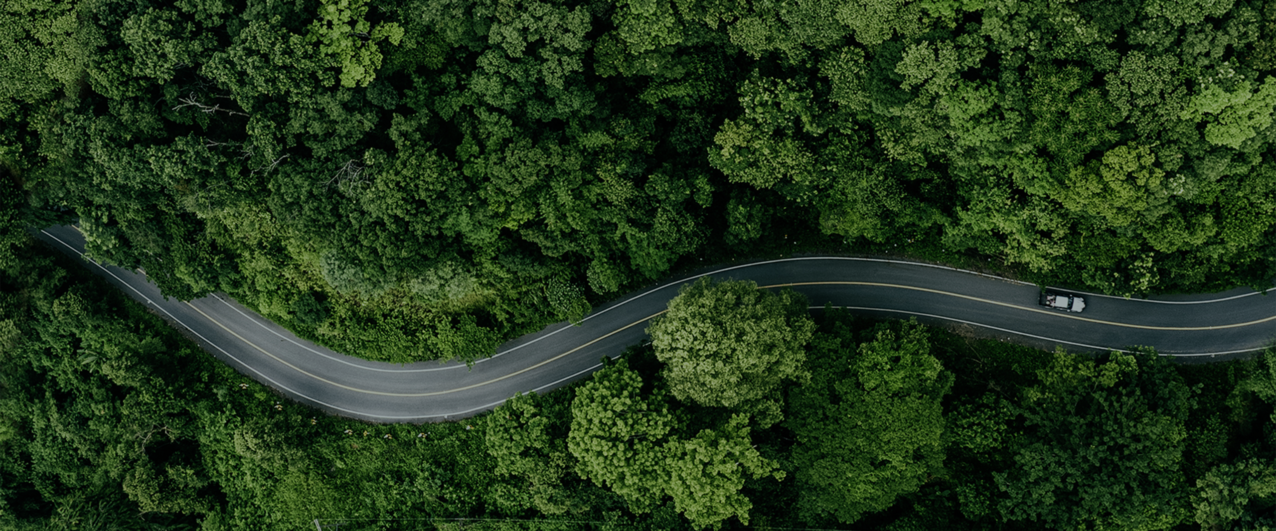 <strong>Achieve ESG goals</strong>